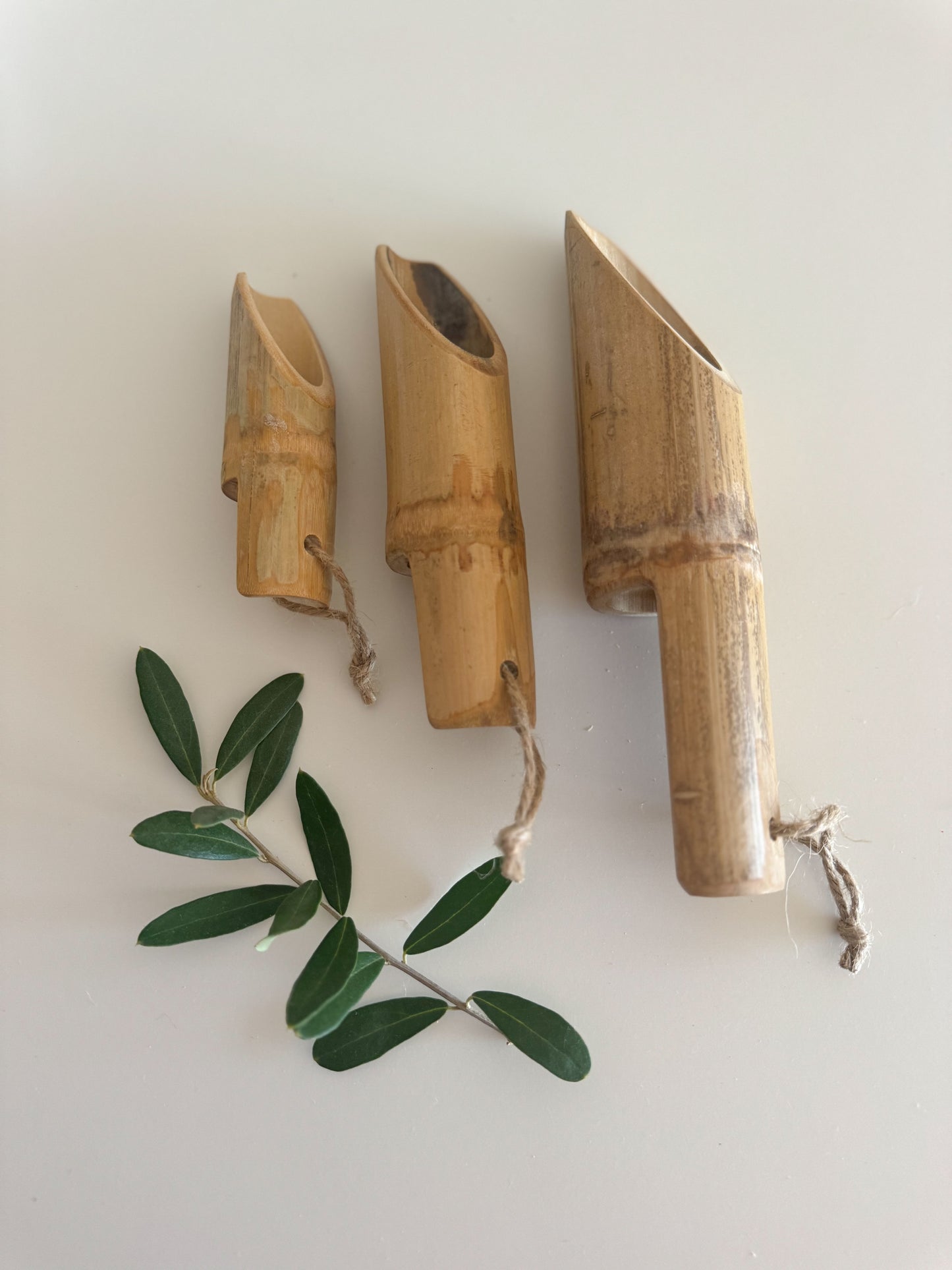 Bamboo Scoops Set