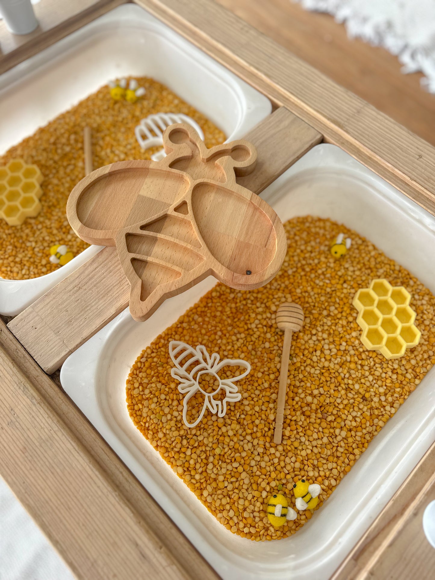 Bee Sensory Tray