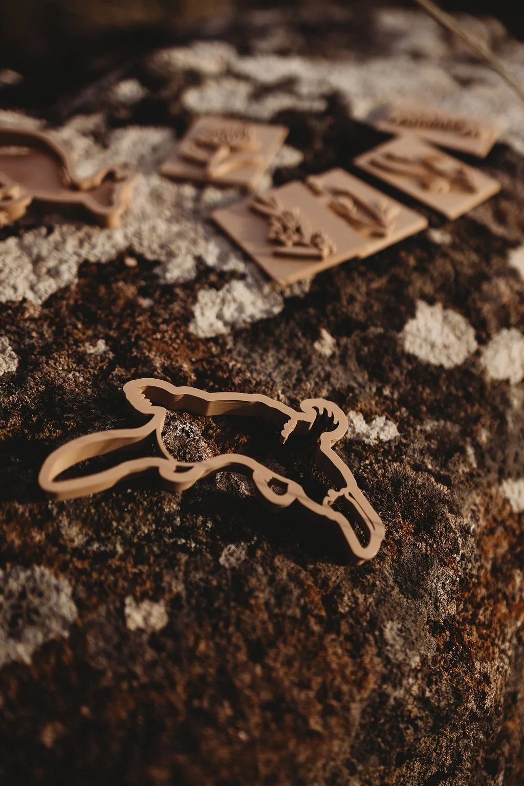Aussie Wildlife Eco Cutter Set
