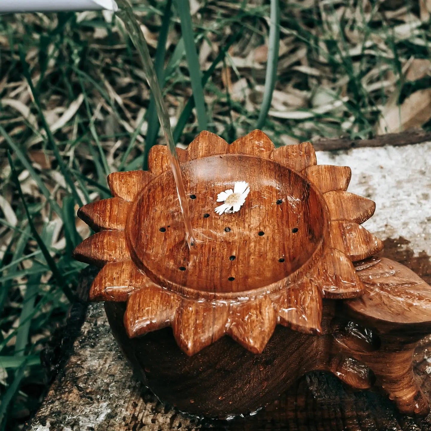 Sun Strainer
