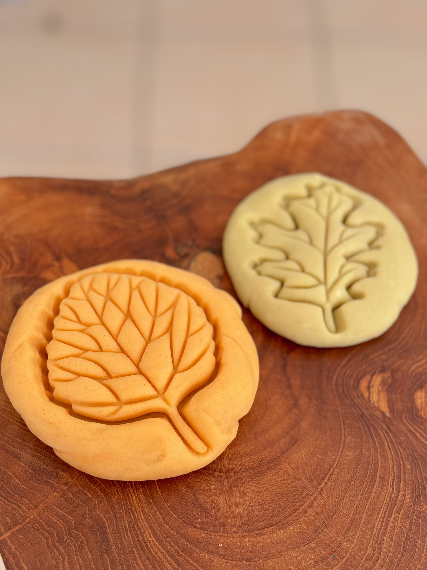 Leaf Eco Cutter Set