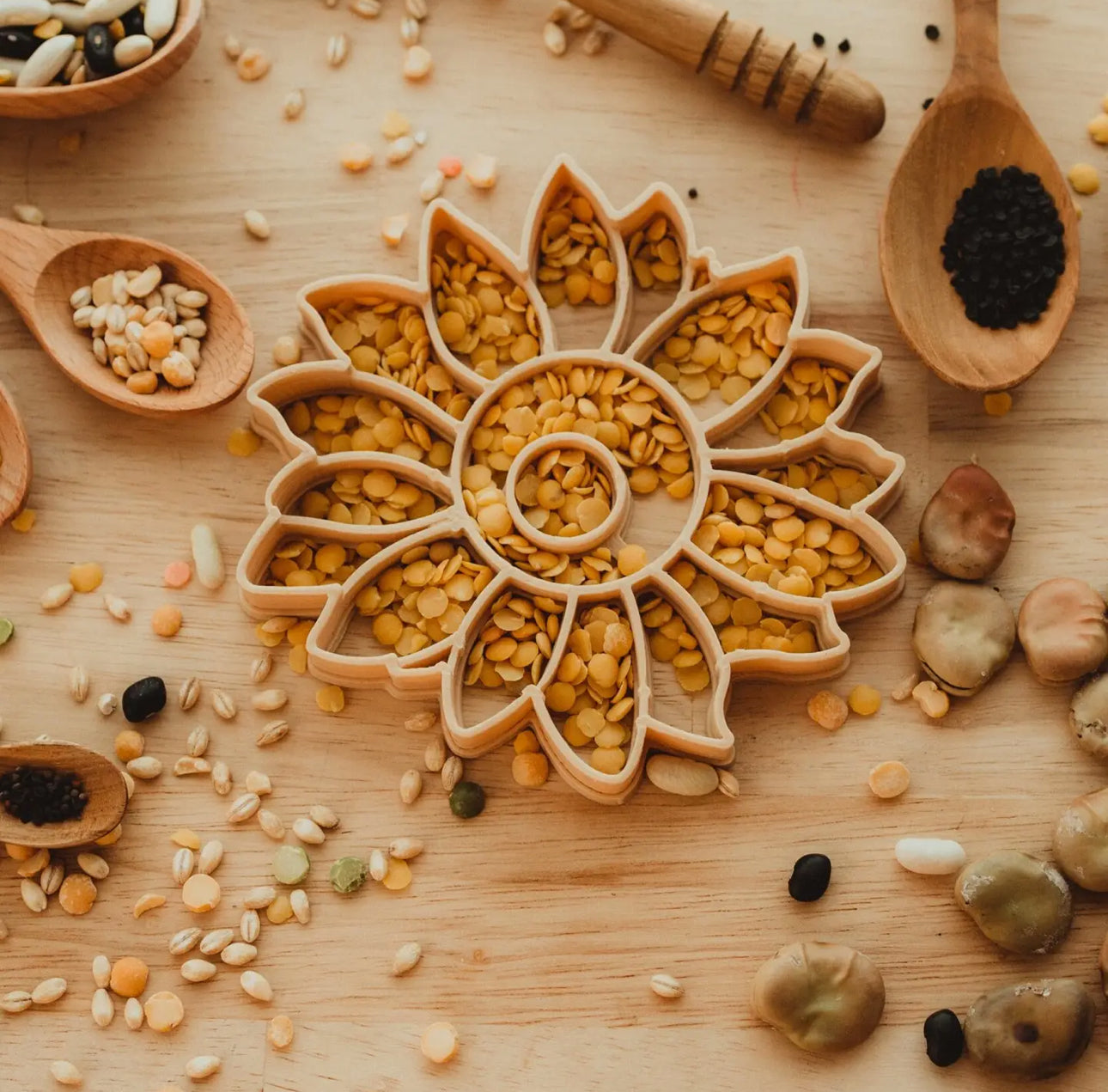 Sunflower Eco Cutter