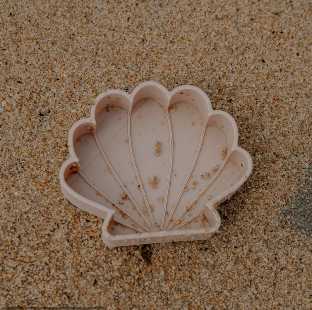 Sea Shell Eco Mould