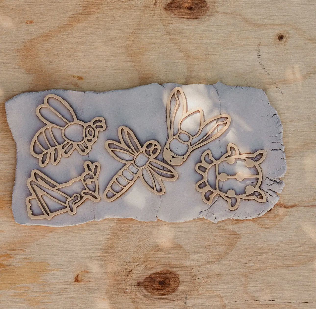 Insect Eco Cutter Set