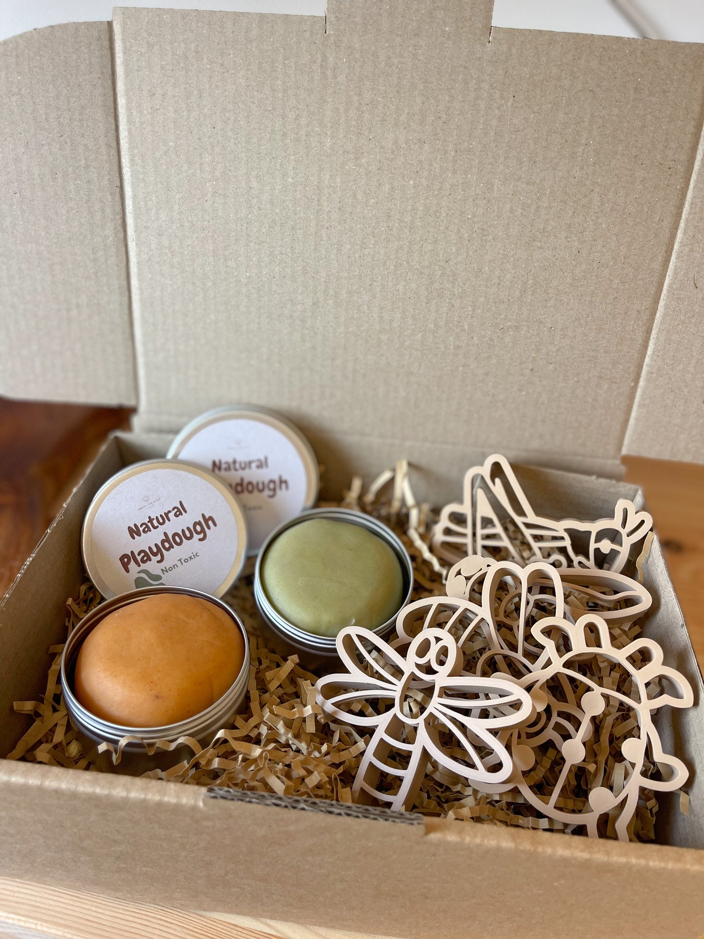 Insect Playdough Kit