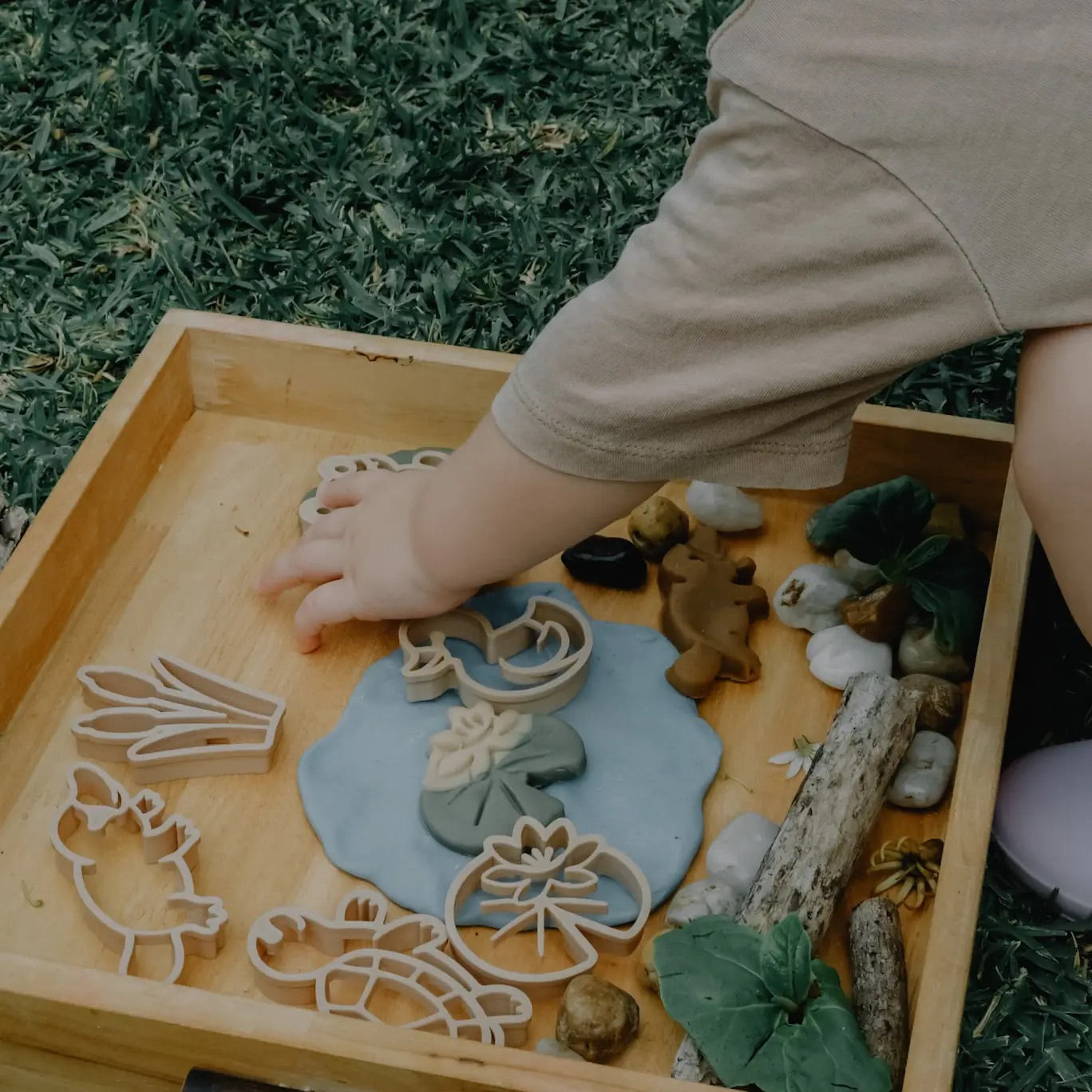 Pond Life Eco Cutter Set