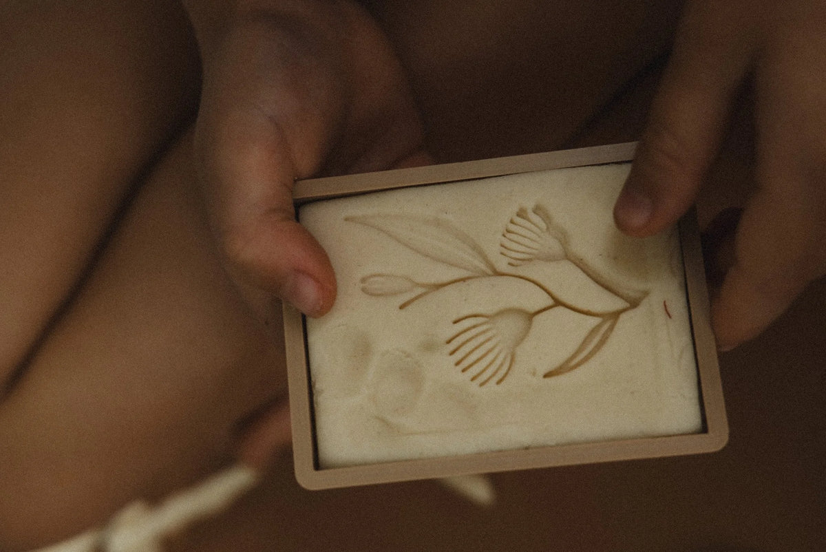 Native Flower Eco Stamp Set