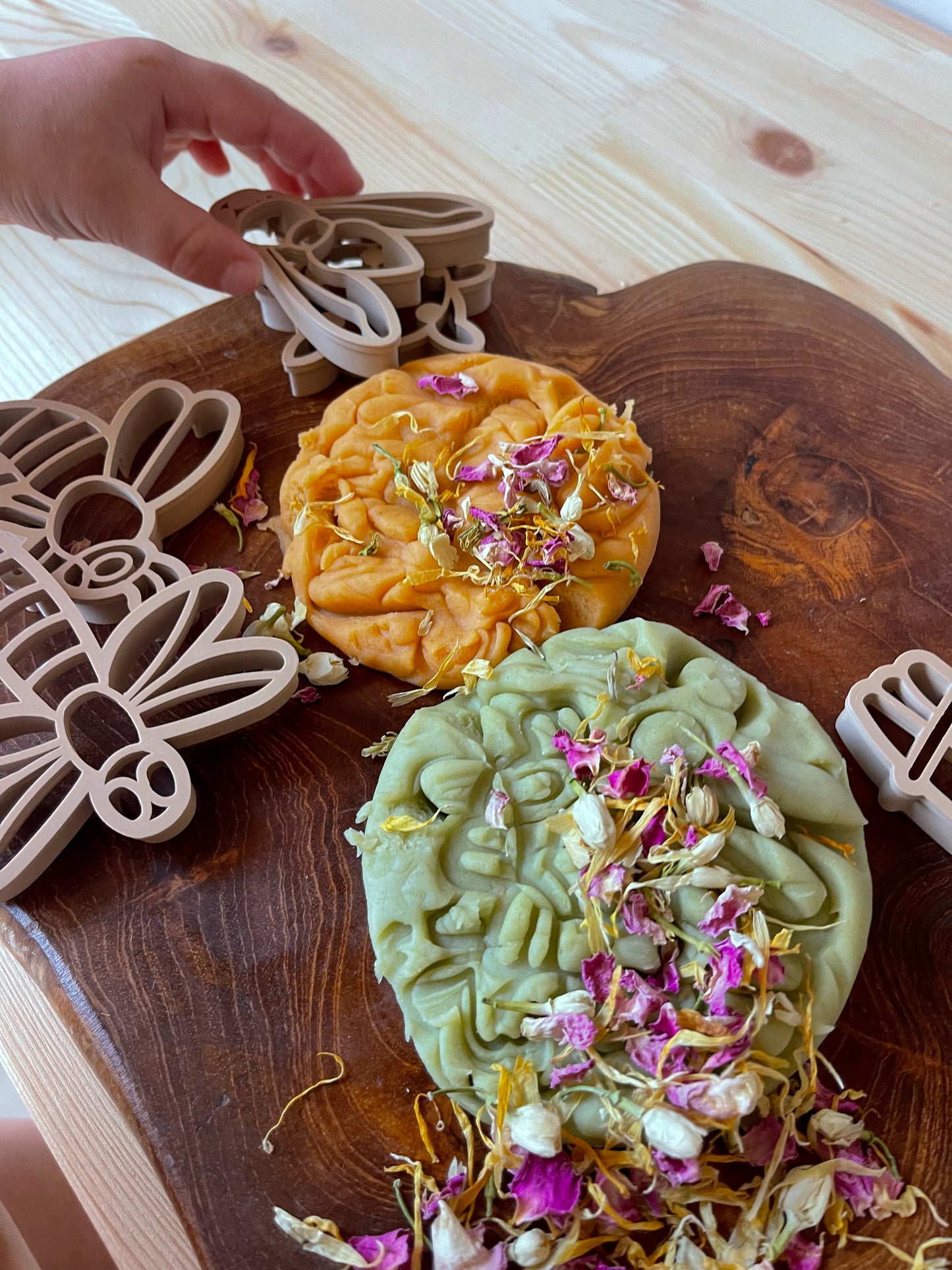 Insect Playdough Kit