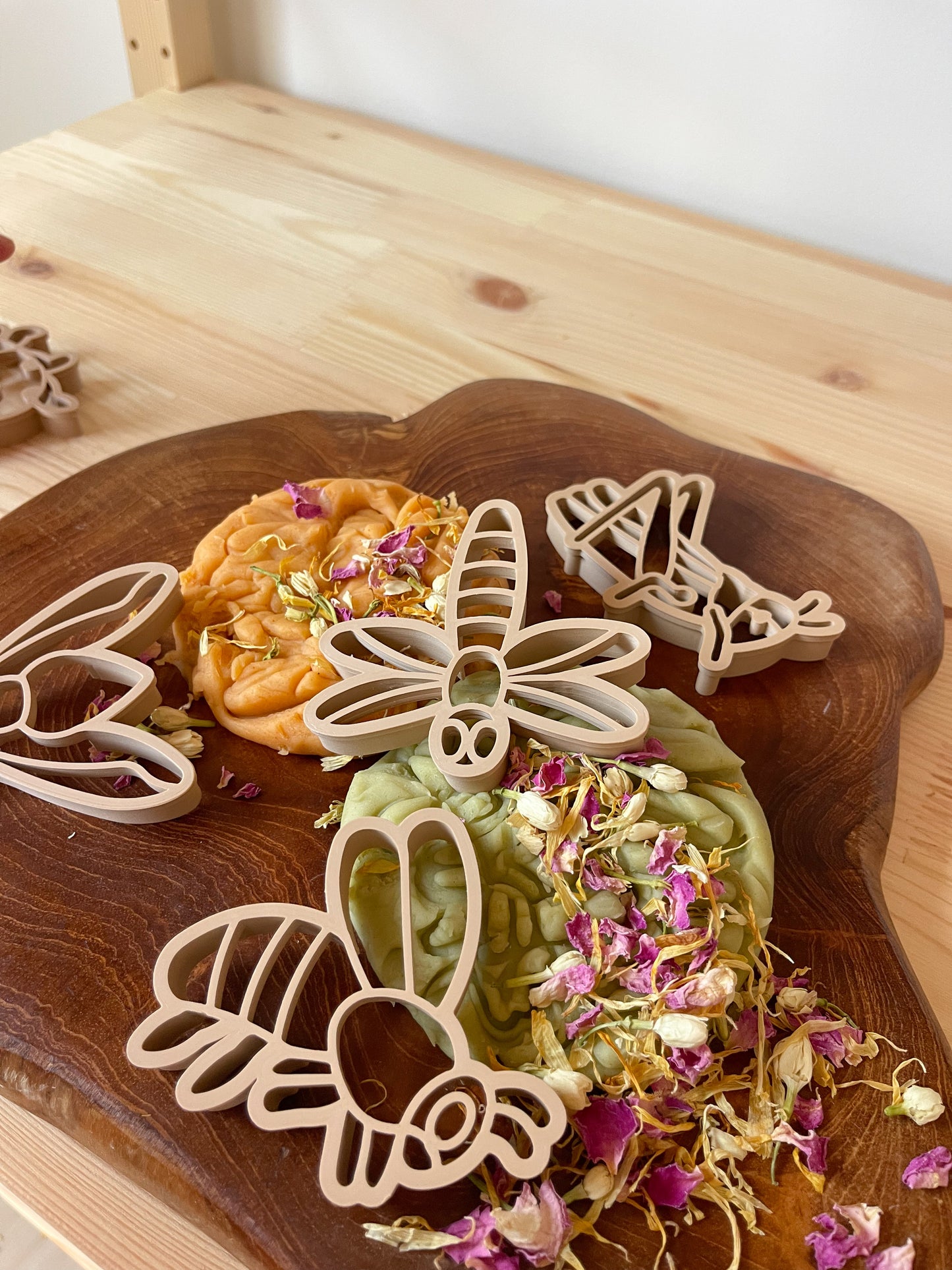 Insect Playdough Kit