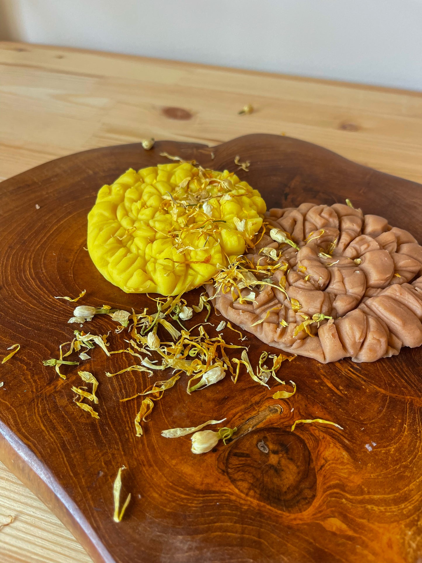 Dried Florals - Sol Shine