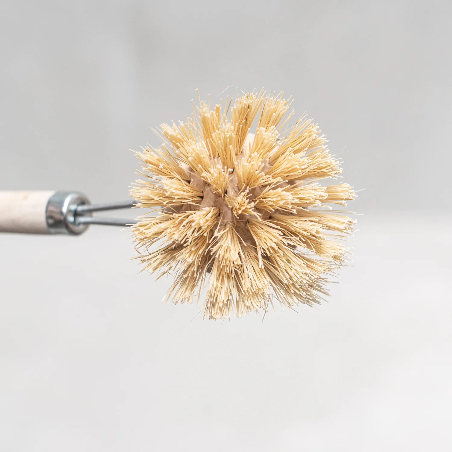 Eco Dish Brush