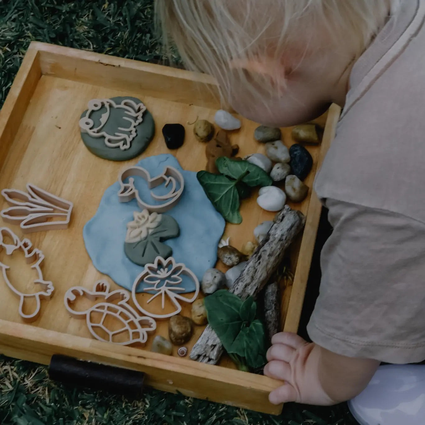 Pond Life Eco Cutter Set