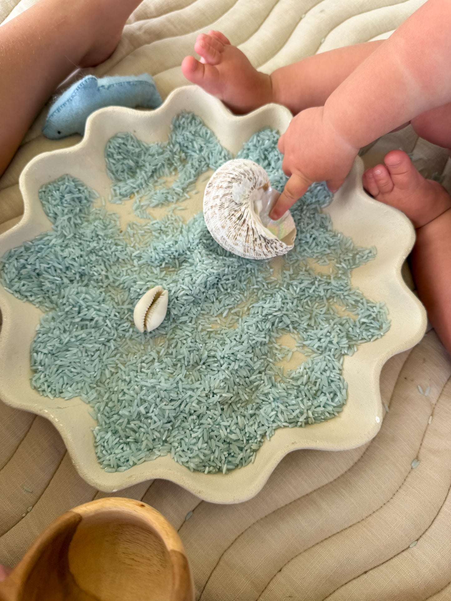 Blue Natural Sensory Rice