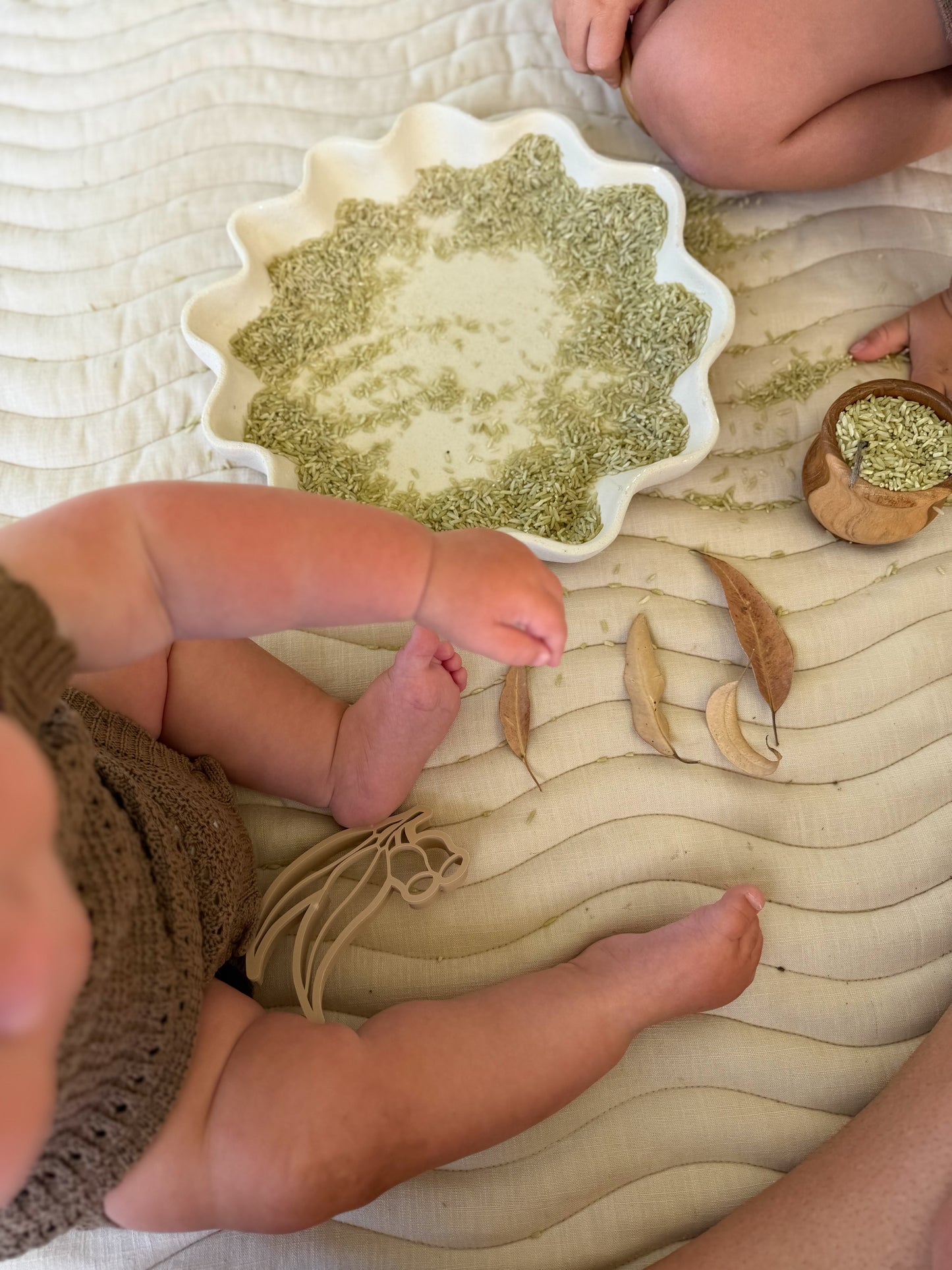 Green Natural Sensory Rice