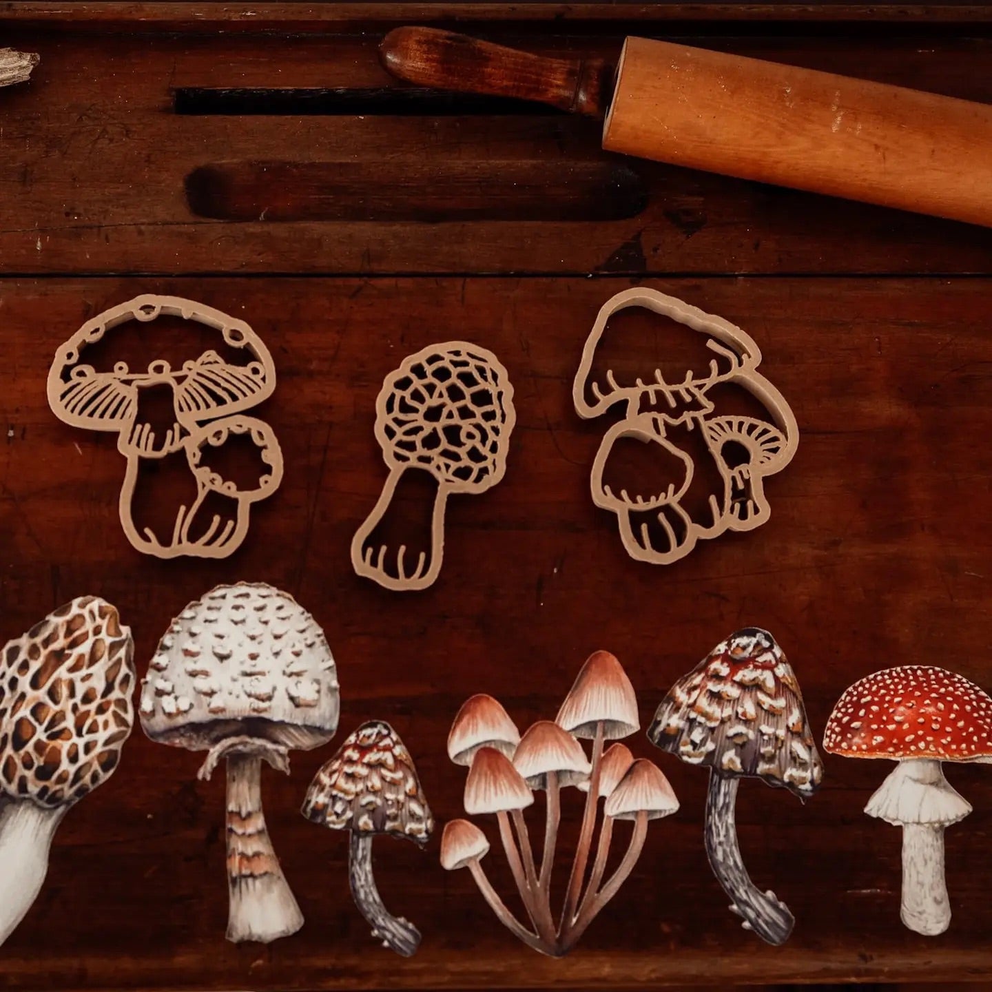 Mushroom Eco Cutter