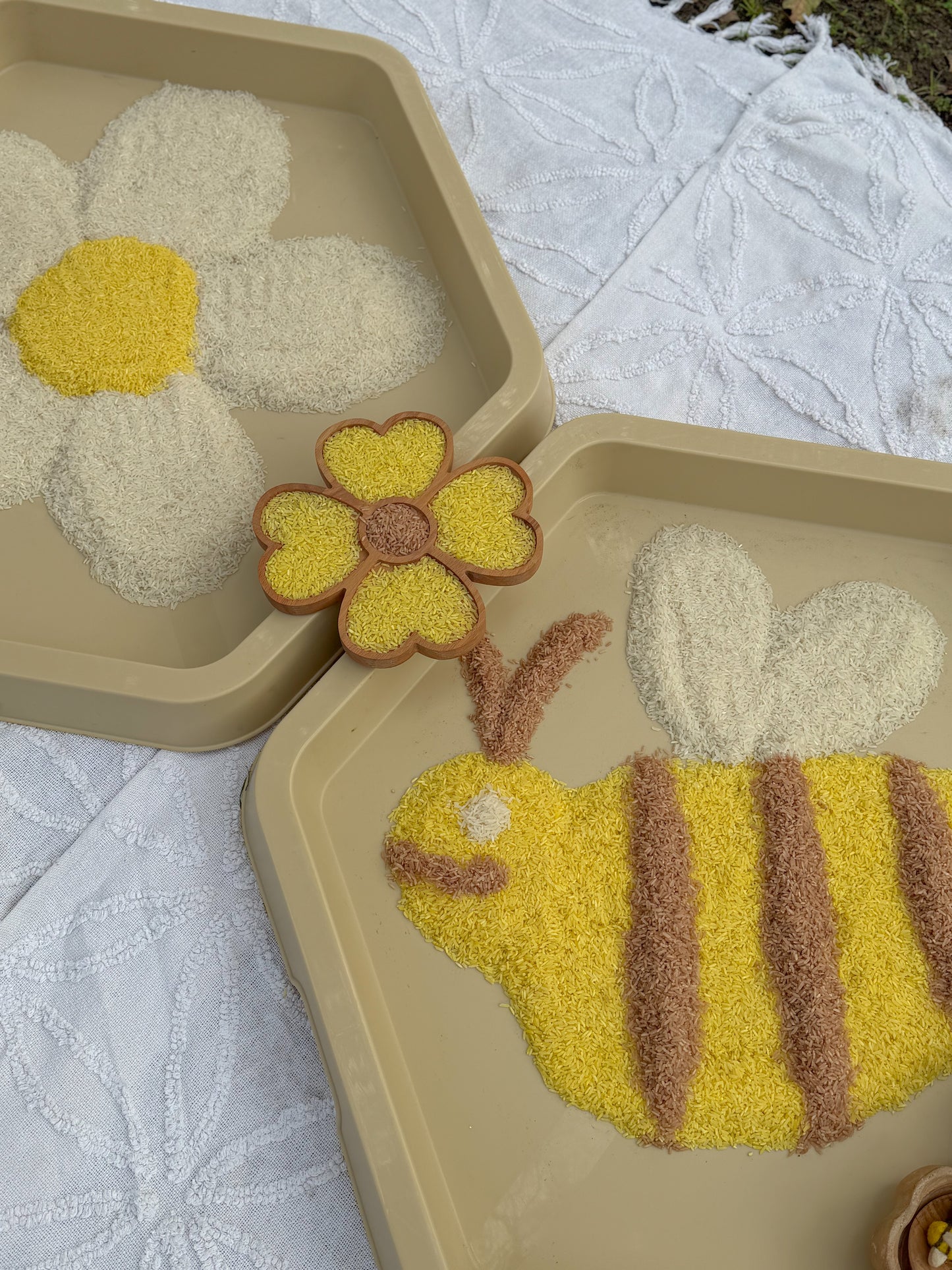 Yellow Natural Sensory Rice