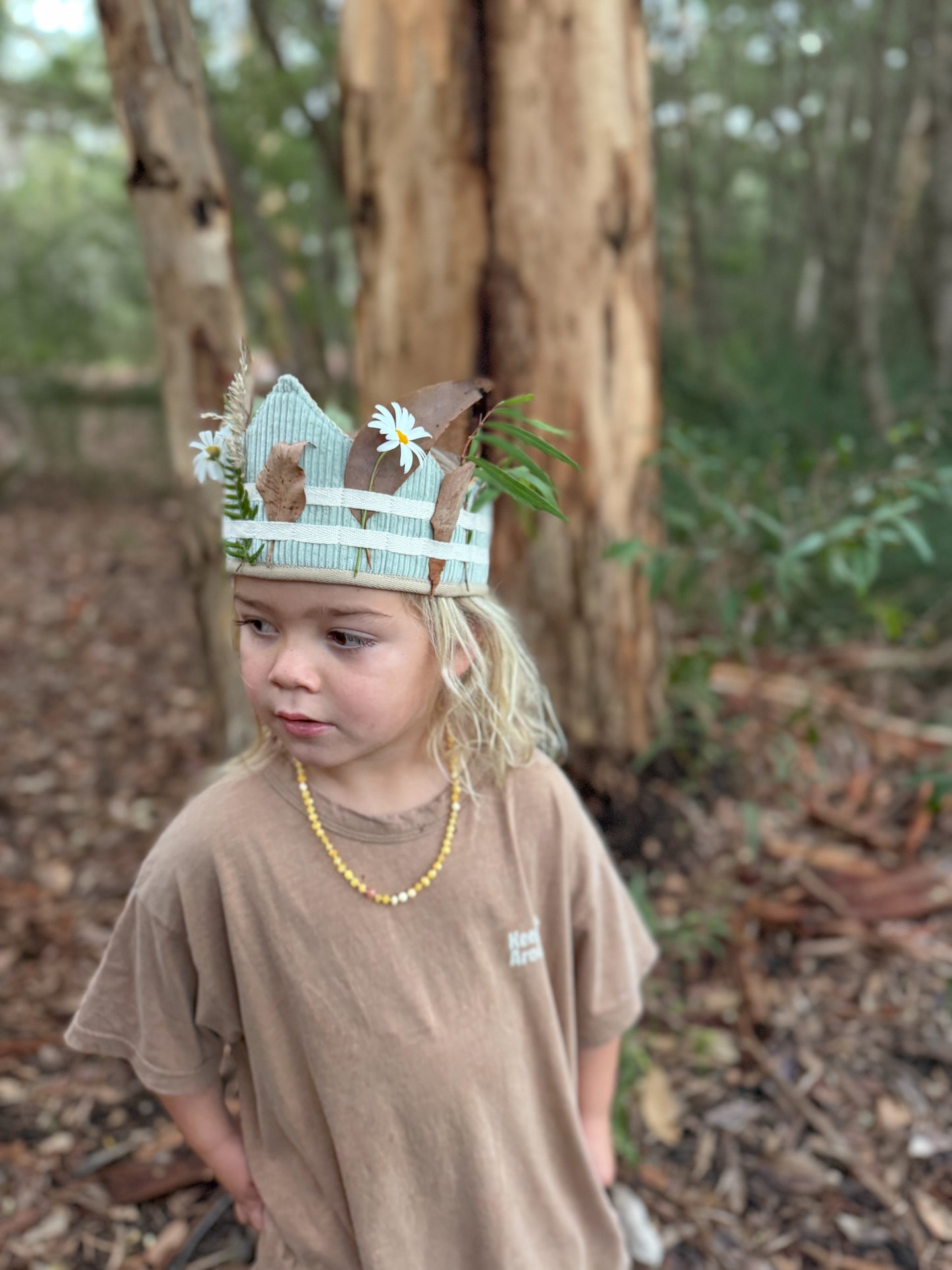 The Adventure Crown