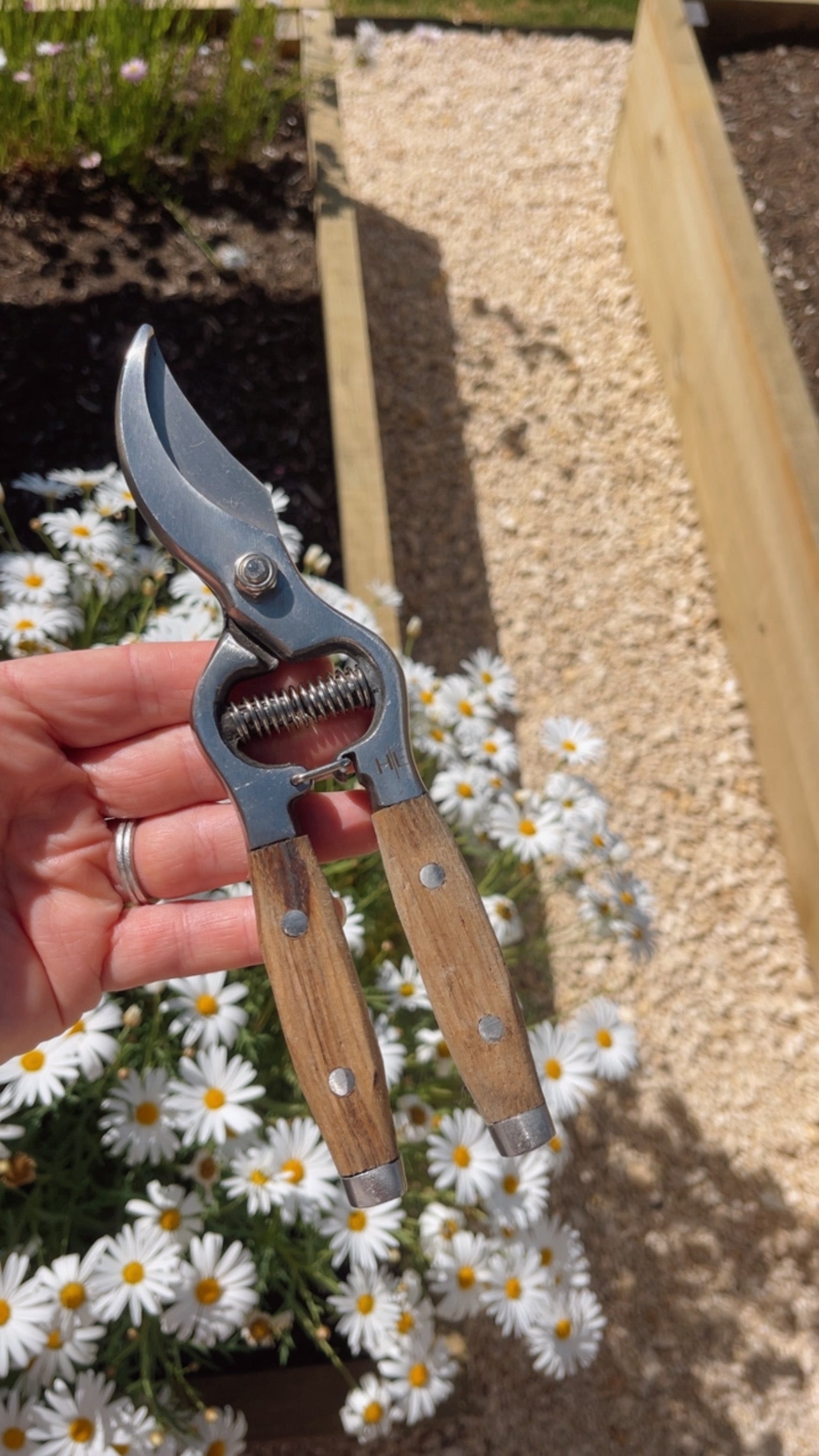 Secateurs Ash Handle