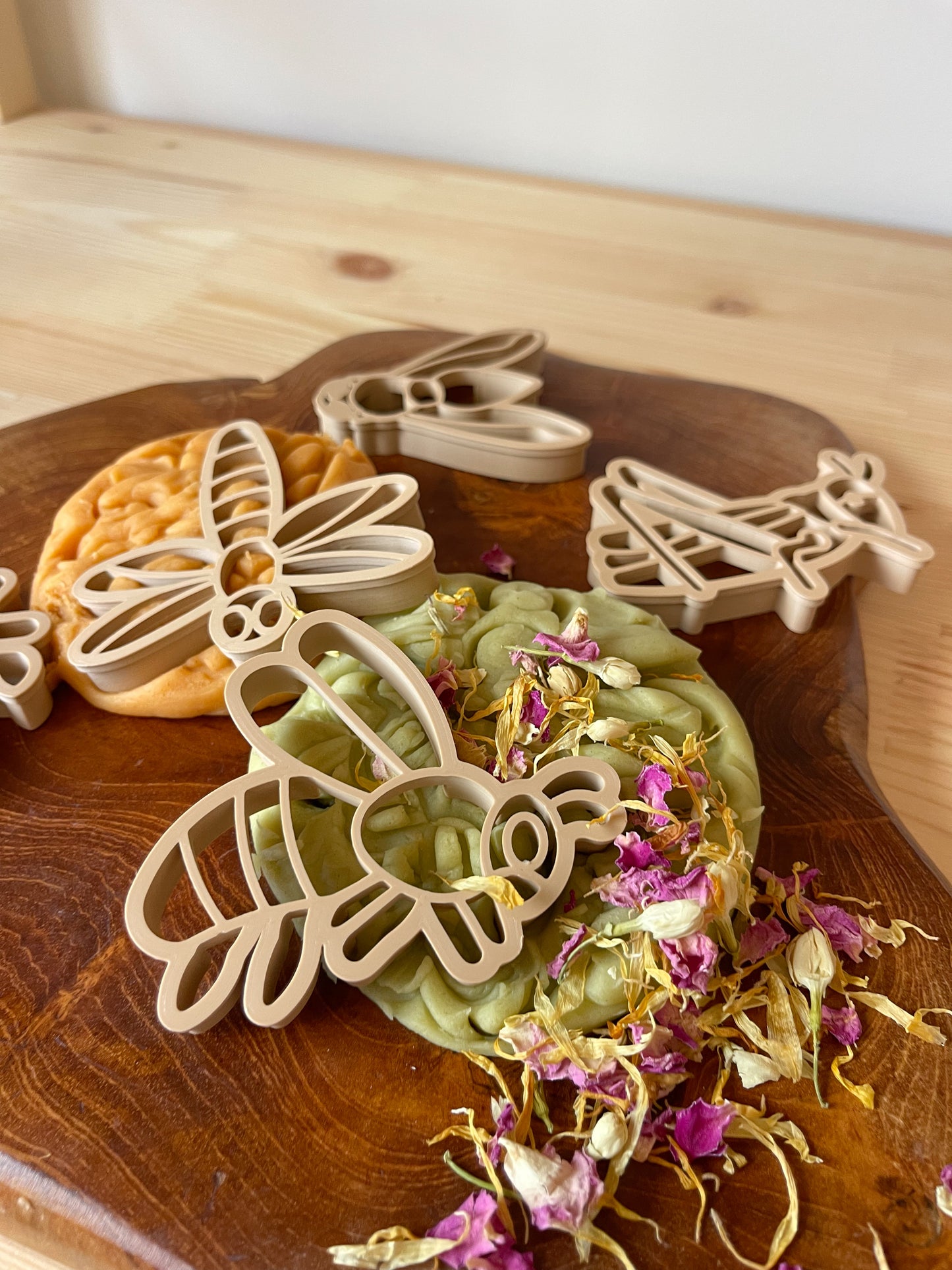 Insect Playdough Kit