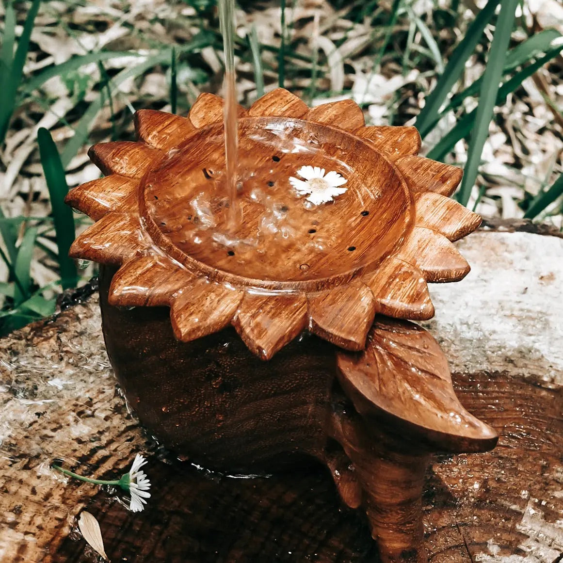 Sun Strainer